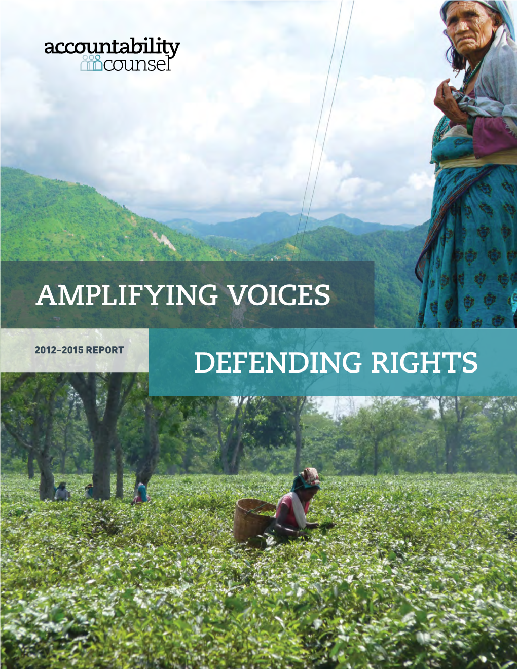 Amplifying Voices Defending Rights