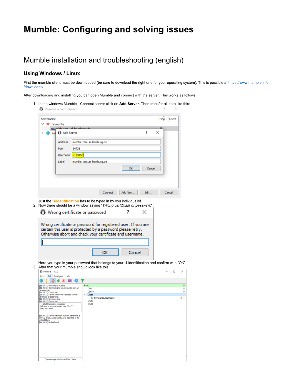 Mumble: Configuring and Solving Issues