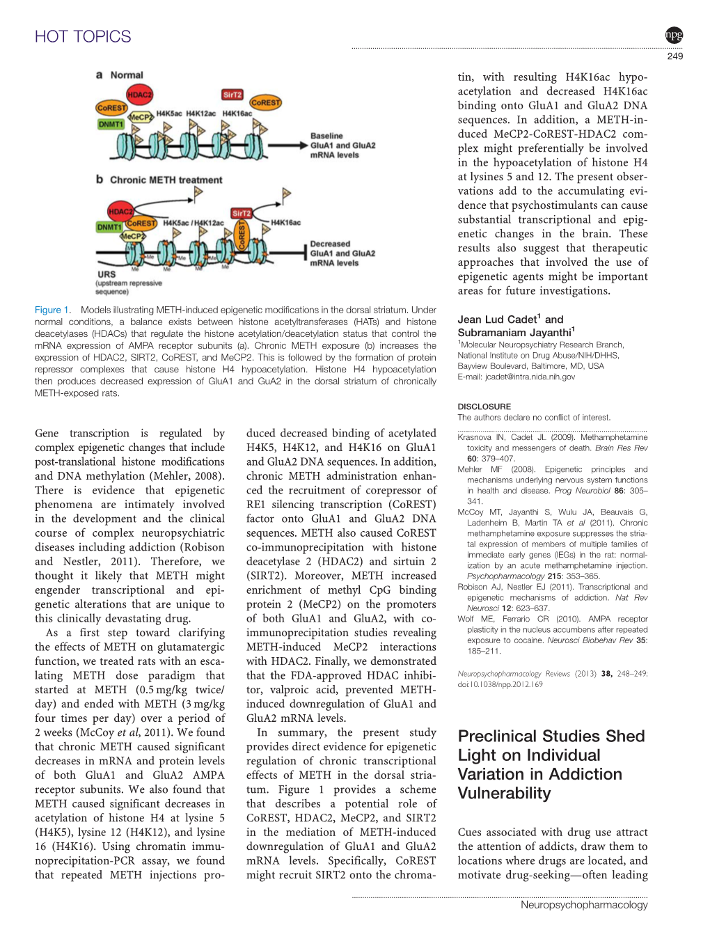 Preclinical Studies Shed Light on Individual Variation in Addiction