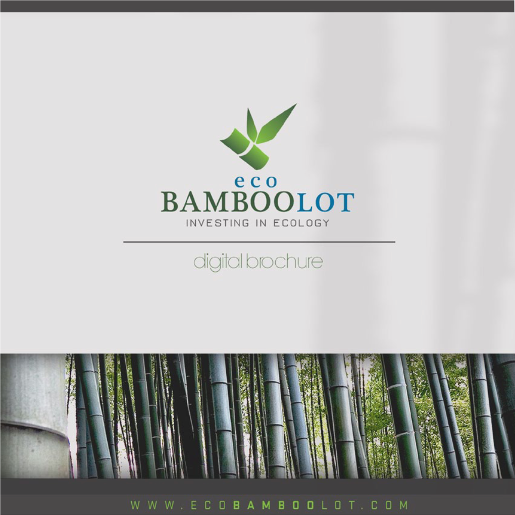 Guadua Angustifolia Bamboo