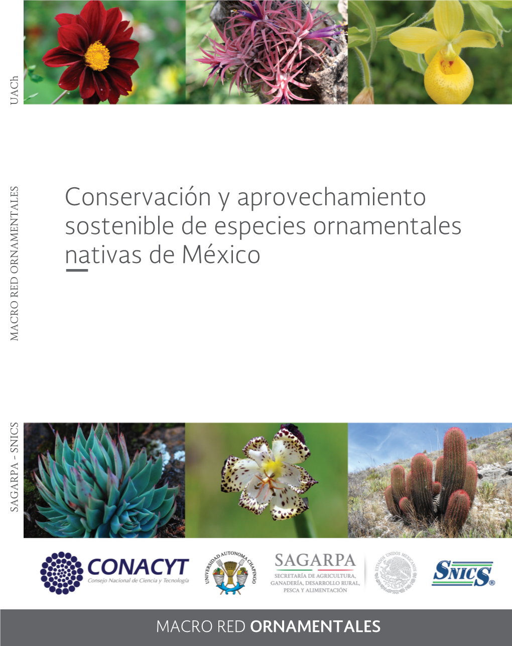 Conservación Y Aprovechamiento Sostenible De Especies Ornamentales Nativas De México