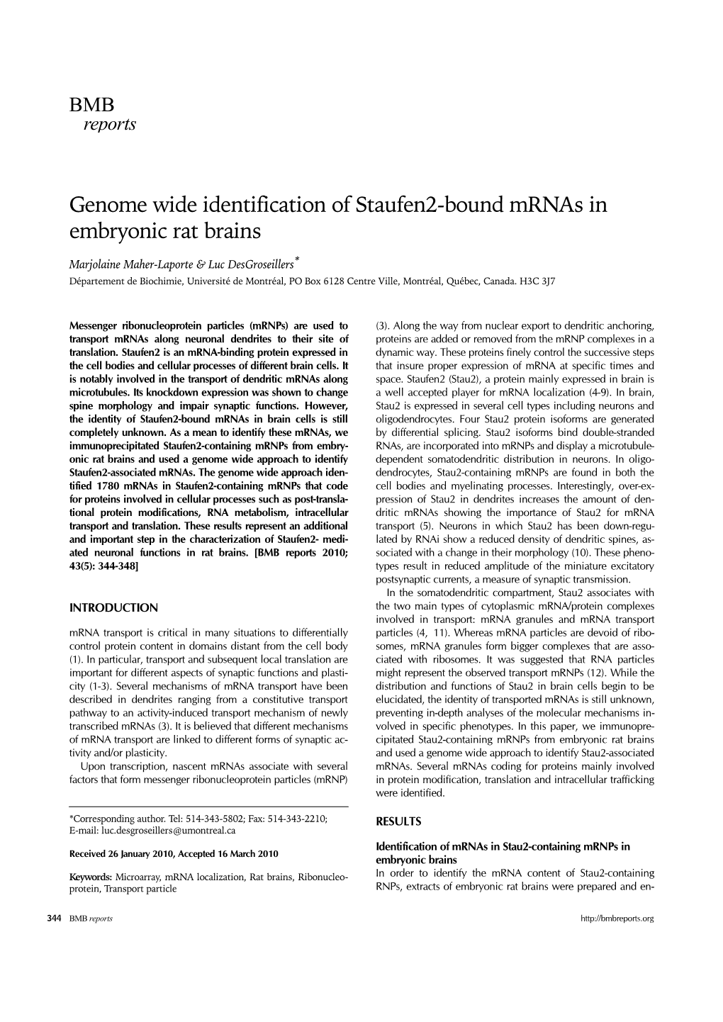Genome Wide Identification of Staufen2-Bound Mrnas in Embryonic Rat Brains