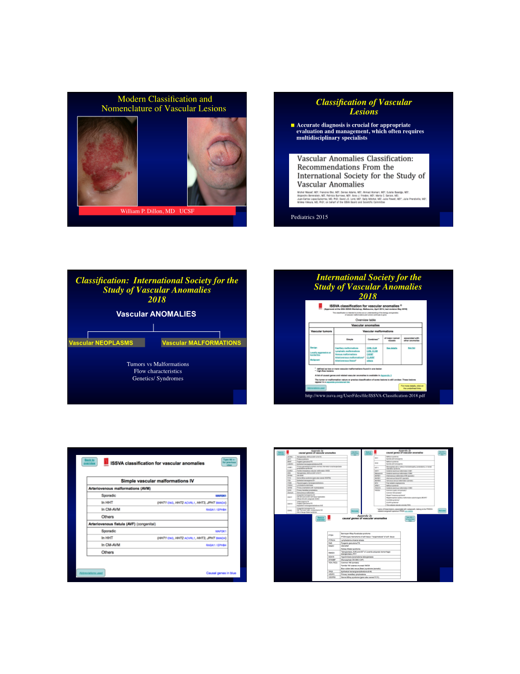 Modern Classification and Nomenclature of Vascular Lesions