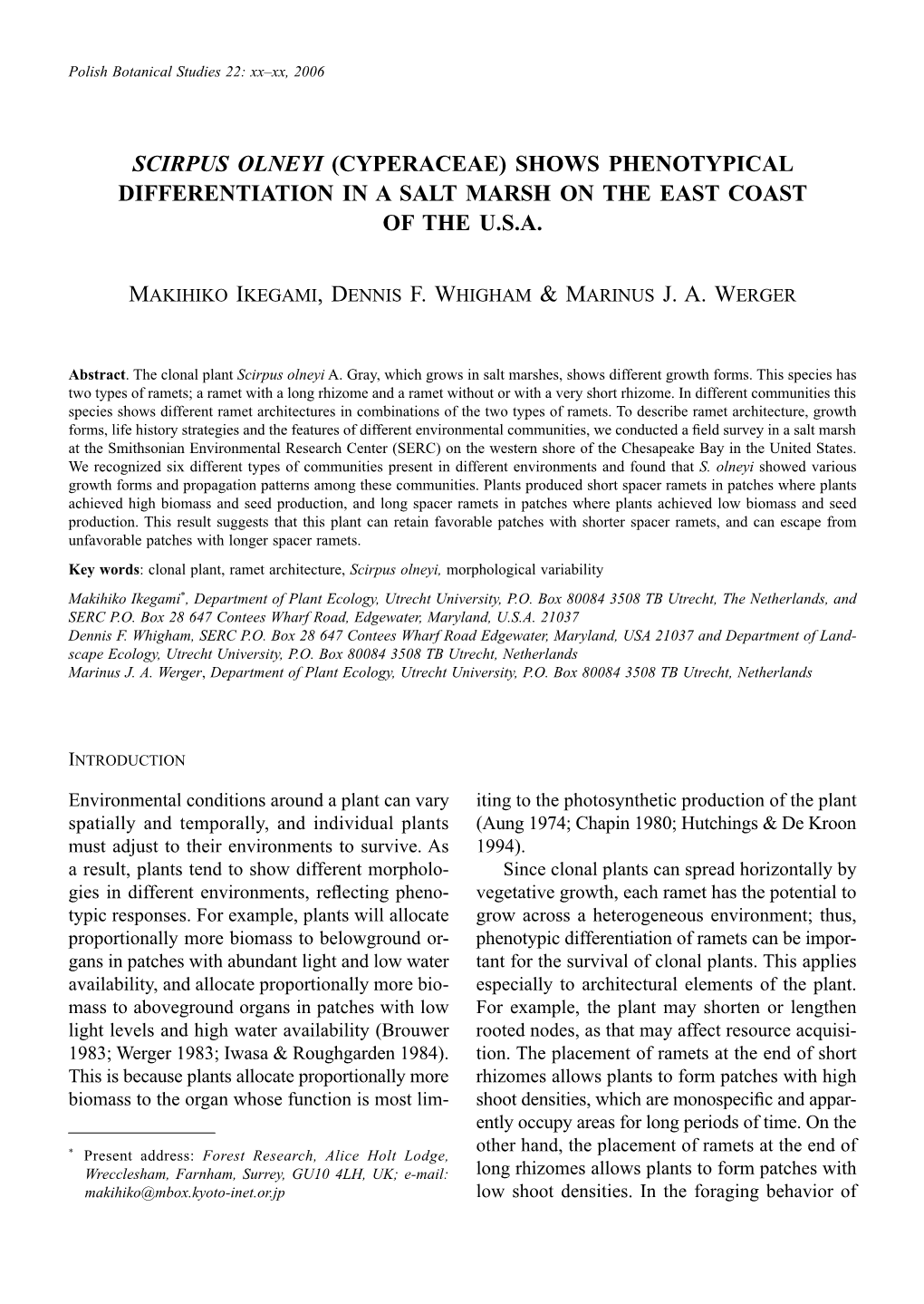 SCIRPUS OLNEYI (Cyperaceae) SHOWS PHENOTYPICAL DIFFERENTIATION in a SALT MARSH on the EAST COAST of the U.S.A