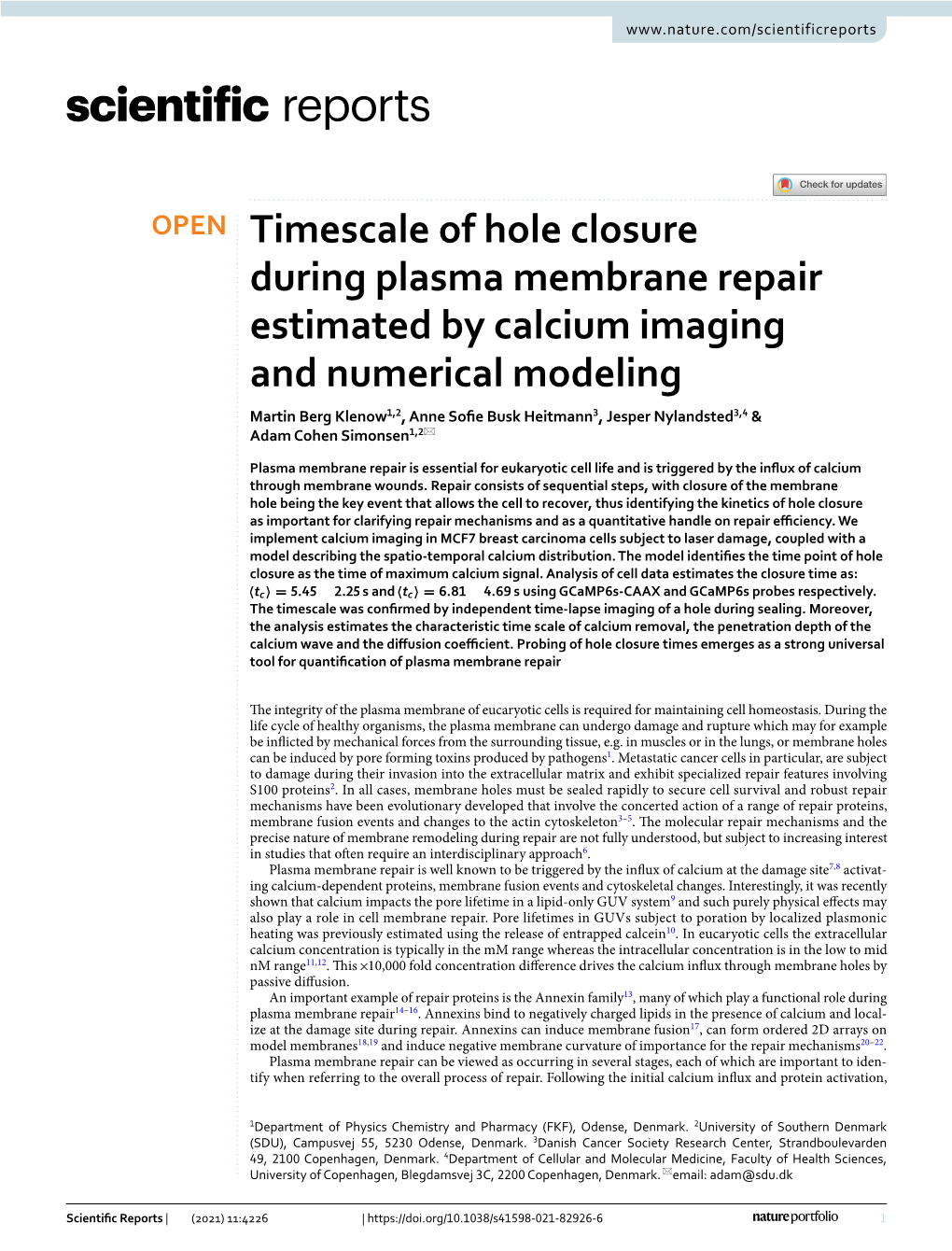 Timescale of Hole Closure During Plasma Membrane Repair Estimated