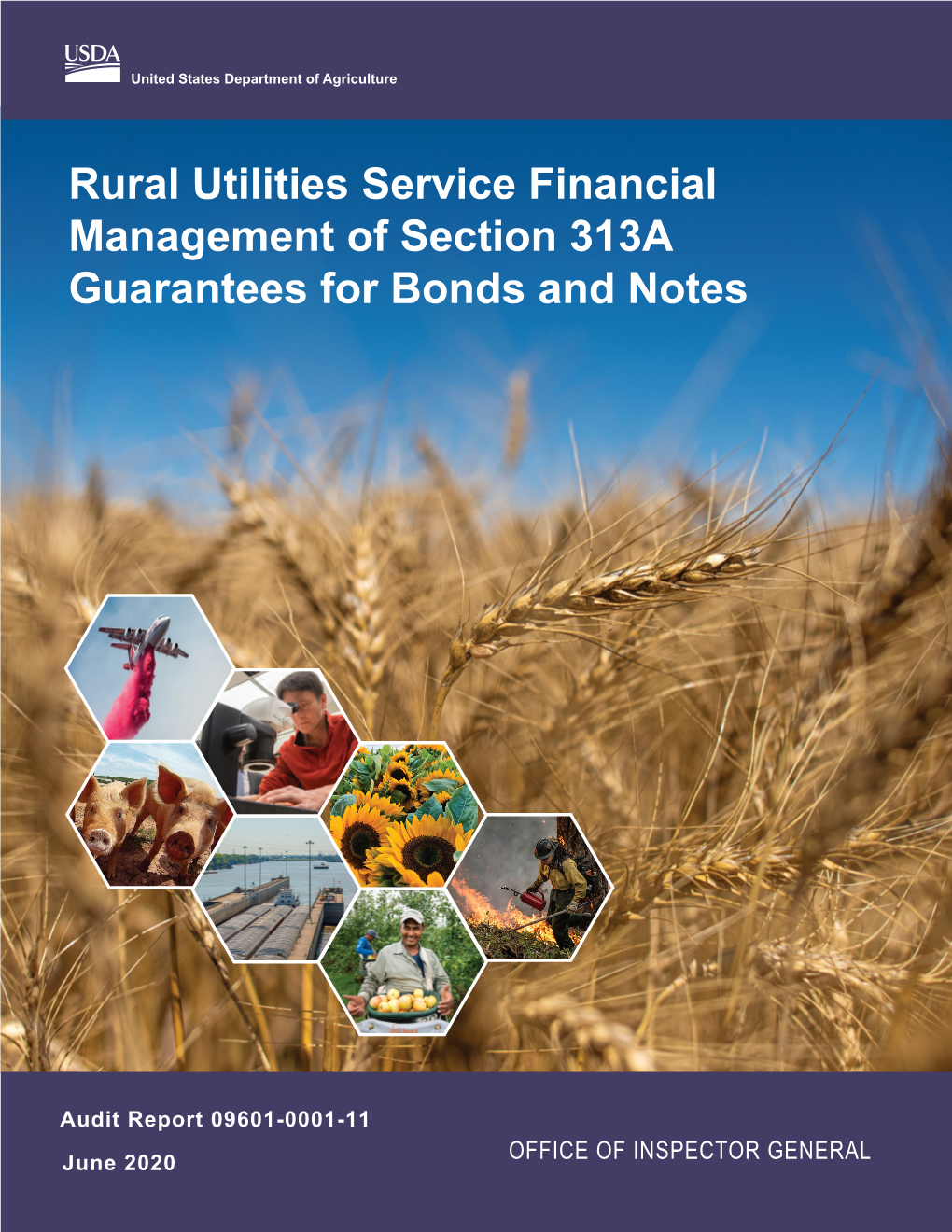 Rural Utilities Service Financial Management of Section 313A Guarantees for Bonds and Notes