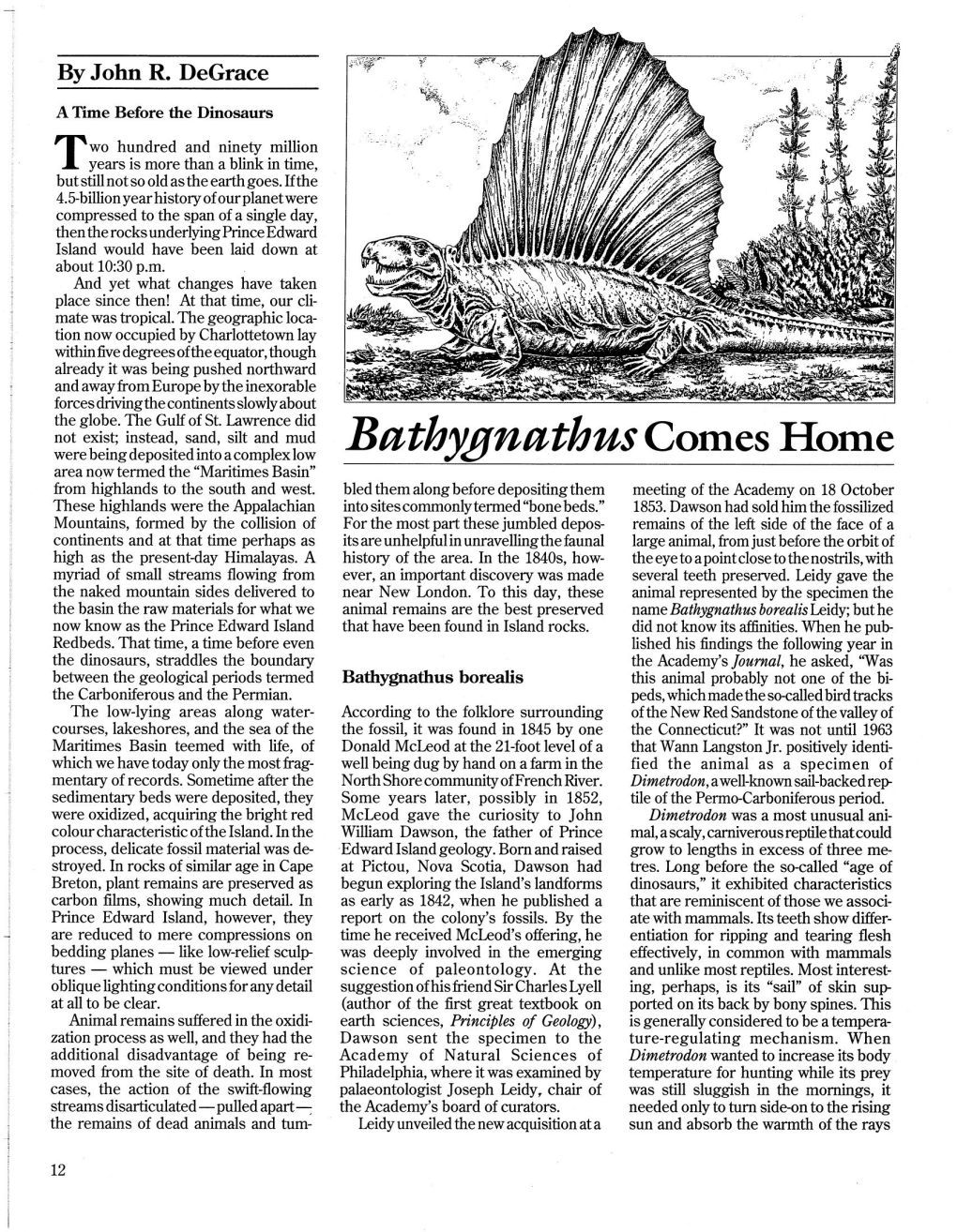 Bathygnathus Comes Home Area Now Termed the 