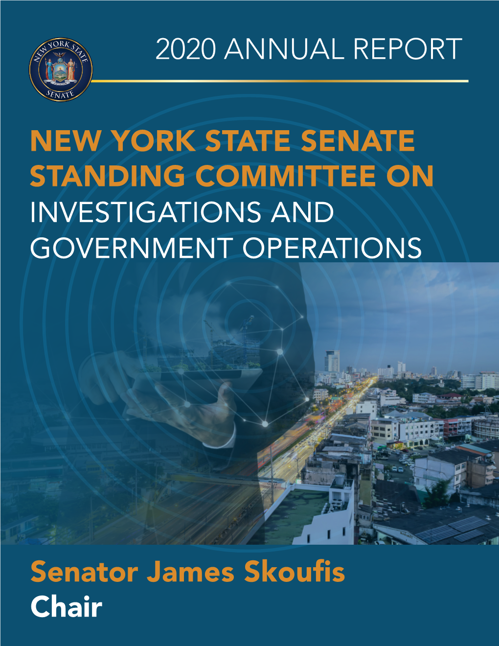 2020 Investigations and Government Operations Committee Annual Report