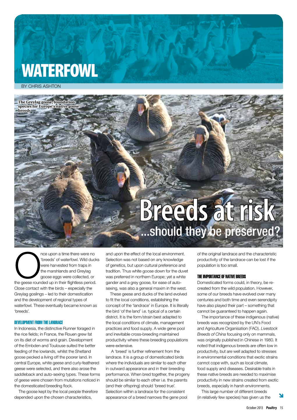 Waterfowl Breeds at Risk