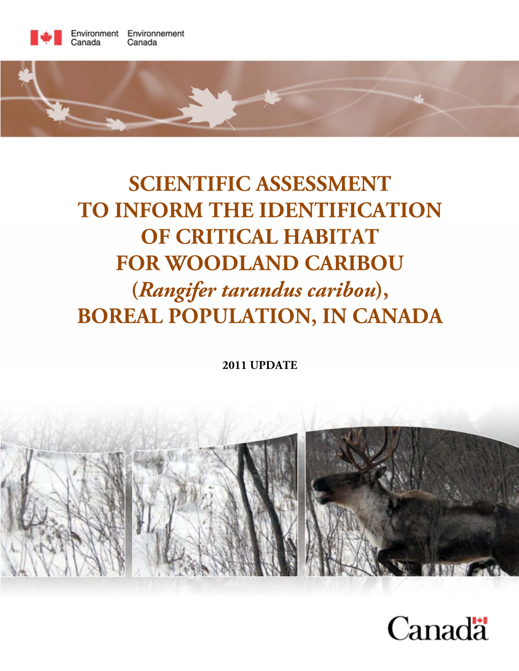SCIENTIFIC ASSESSMENT to INFORM the IDENTIFICATION of CRITICAL HABITAT for WOODLAND CARIBOU (Rangifer Tarandus Caribou), BOREAL POPULATION, in CANADA