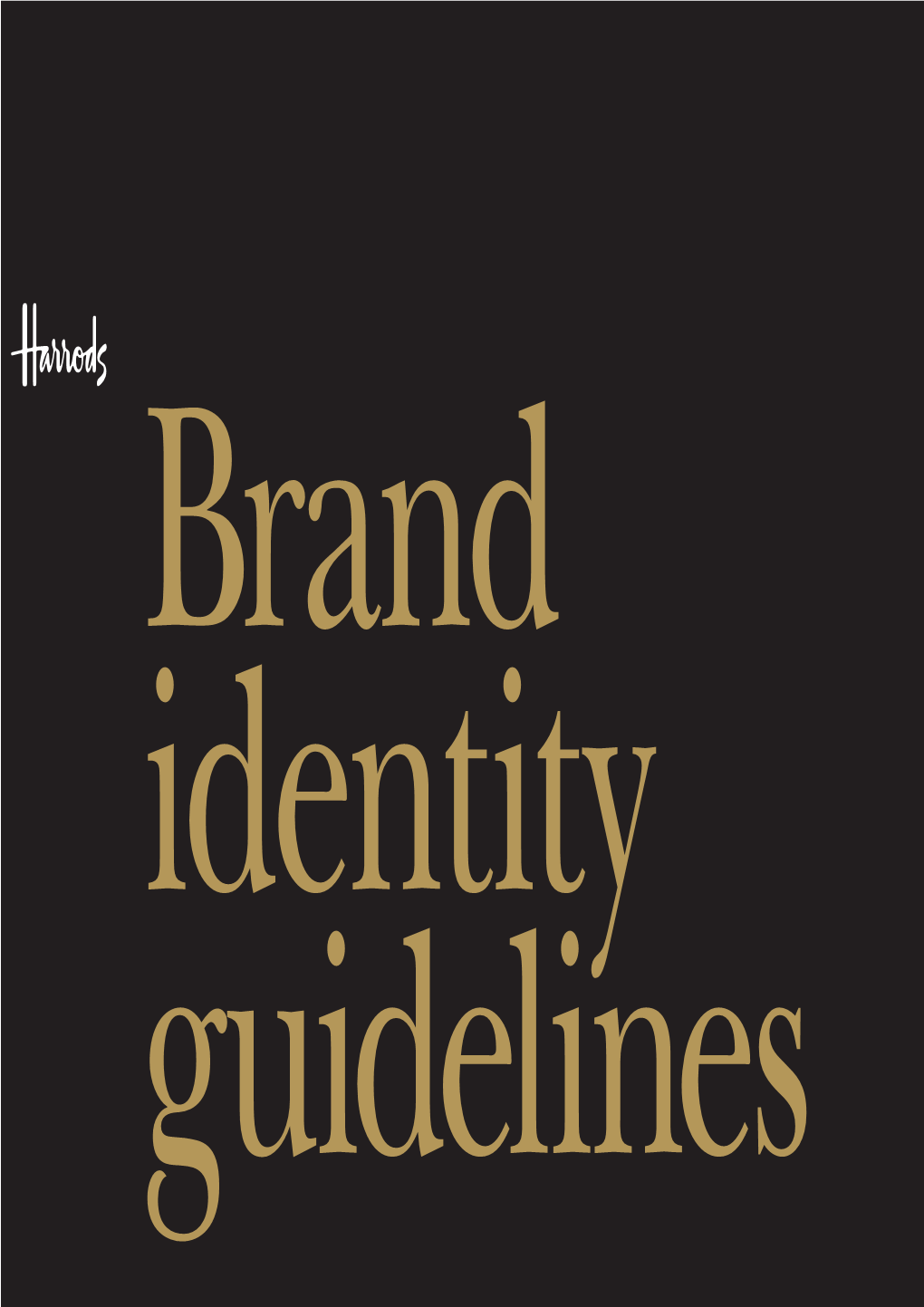 Brand Identity Guidelines