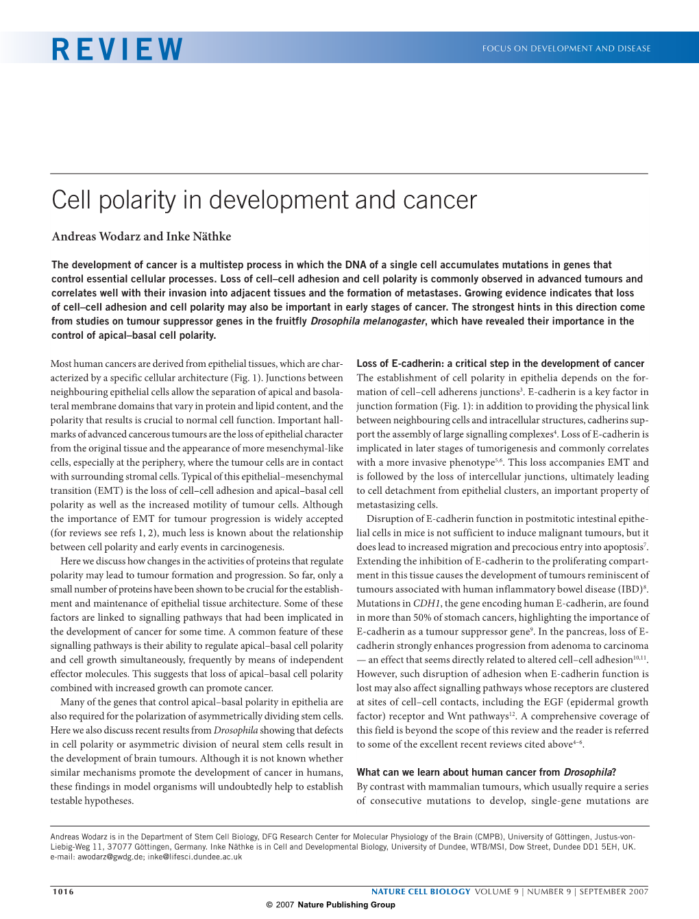 REVIEW E V I E W Focus on DEVELOPMENT and DISEASE