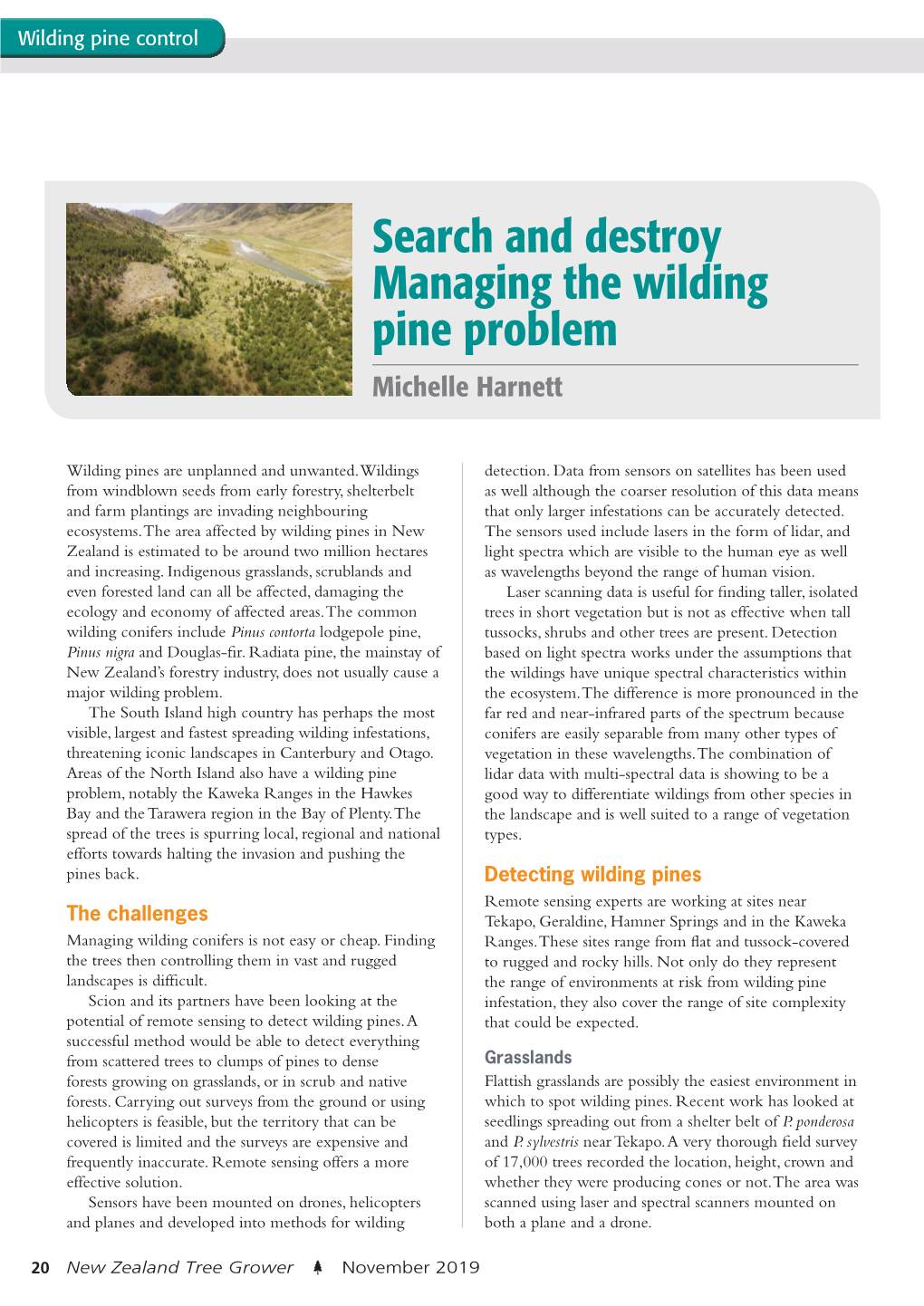 Search and Destroy Managing the Wilding Pine Problem Michelle Harnett