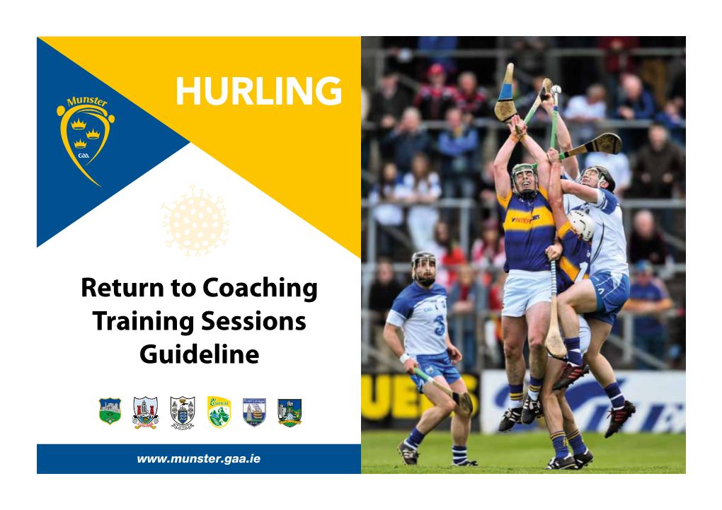 Hurling Training Sessions