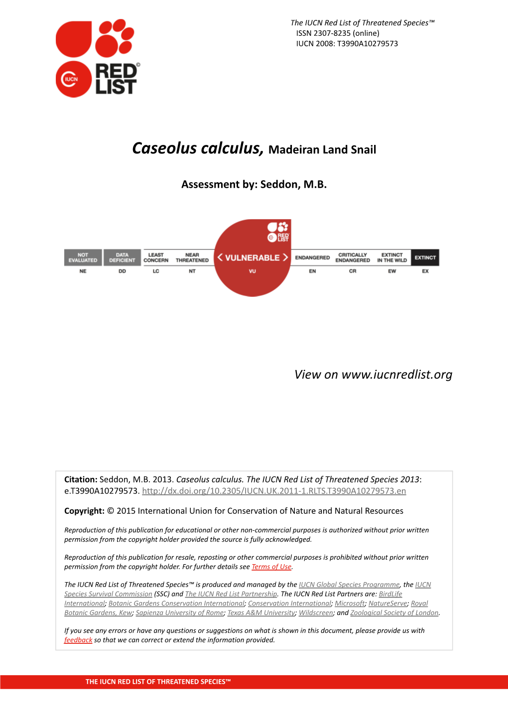 Caseolus Calculus, Madeiran Land Snail