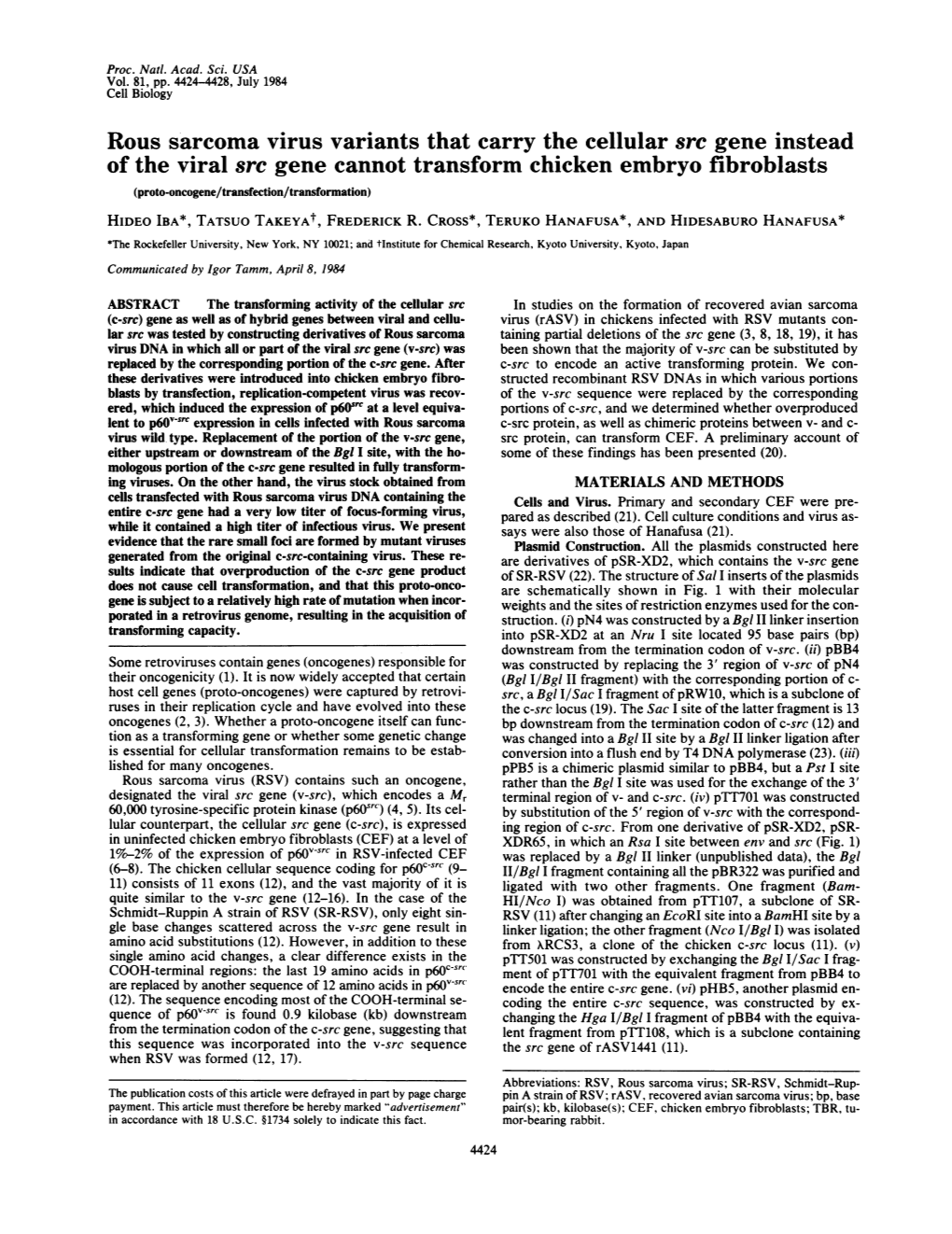 Rous Sarcoma Virus Variants That Carry the Cellular Src Gene Instead of The