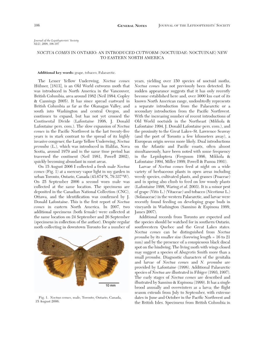 NOCTUA COMES in ONTARIO: an INTRODUCED CUTWORM (NOCTUIDAE: NOCTUINAE) NEW to EASTERN NORTH AMERICA the Lesser Yellow Underwing