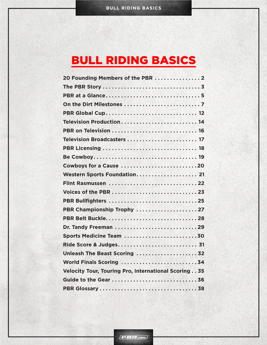 Bull Riding Basics