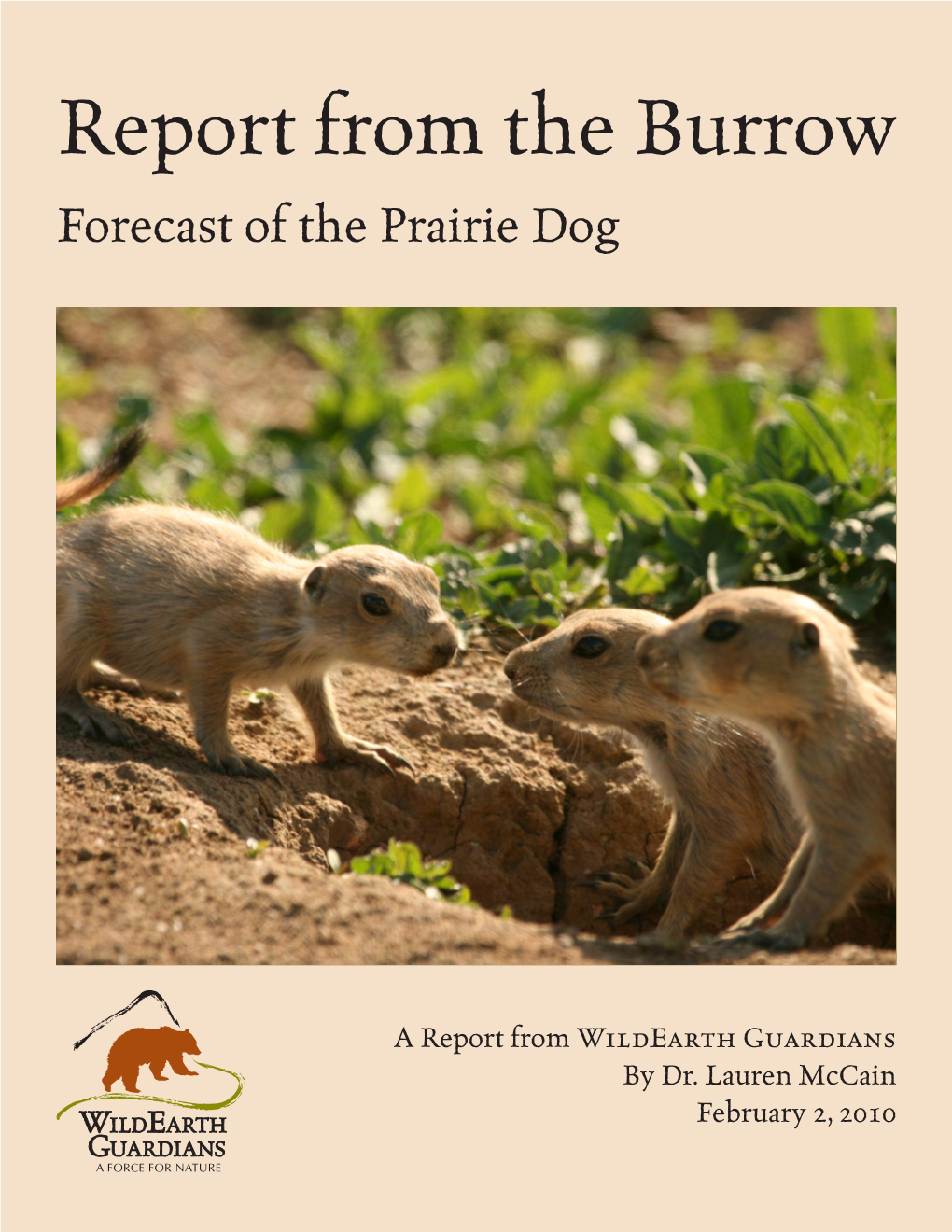 Report from the Burrow Forecast of the Prairie Dog