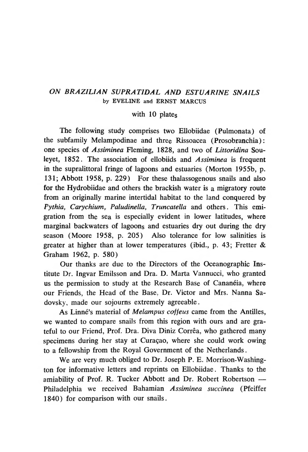 Pulmonata) of the Subfamily Melampodinae and Three Rissoacea (Prosobranchia): One Species of Assiminea Fleming, 1828, and Two of Littoridina Sou- Leyet, 1852