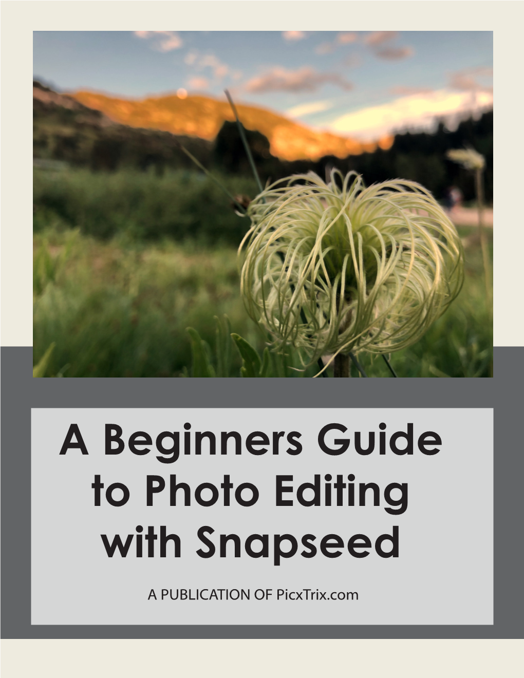 A Beginners Guide to Photo Editing with Snapseed