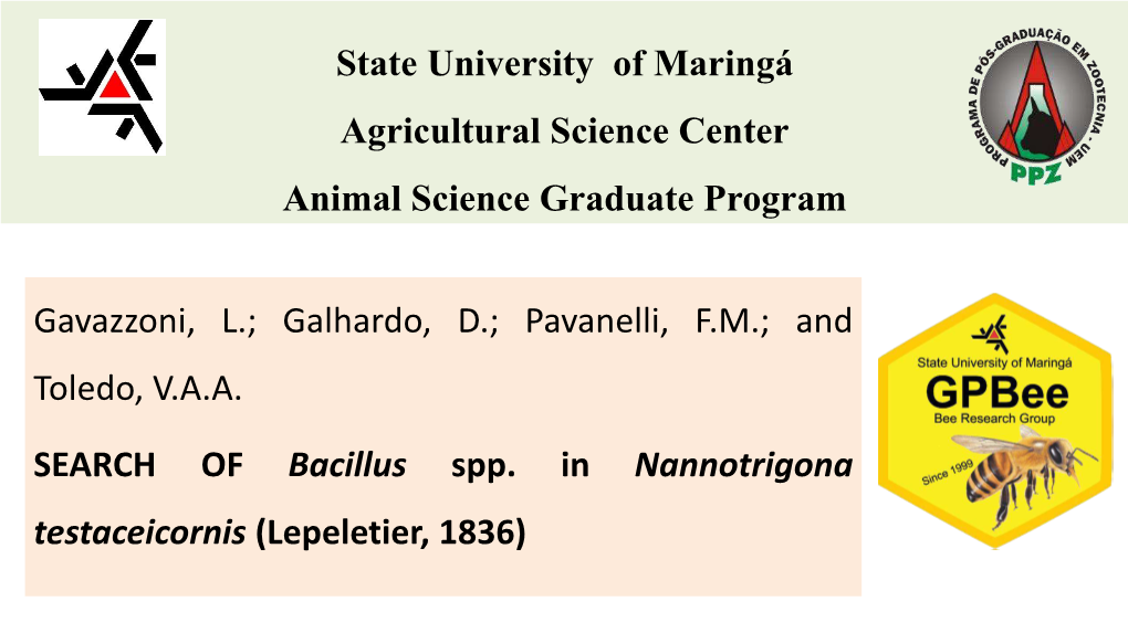 Search of Bacillus Spp in Nannotrigona Testaceicornis