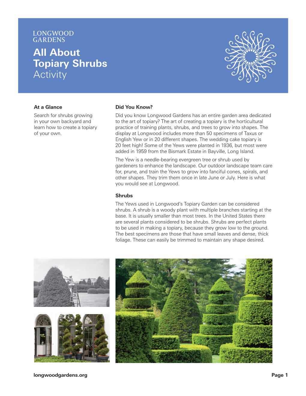 Topiary Shrubs Activity