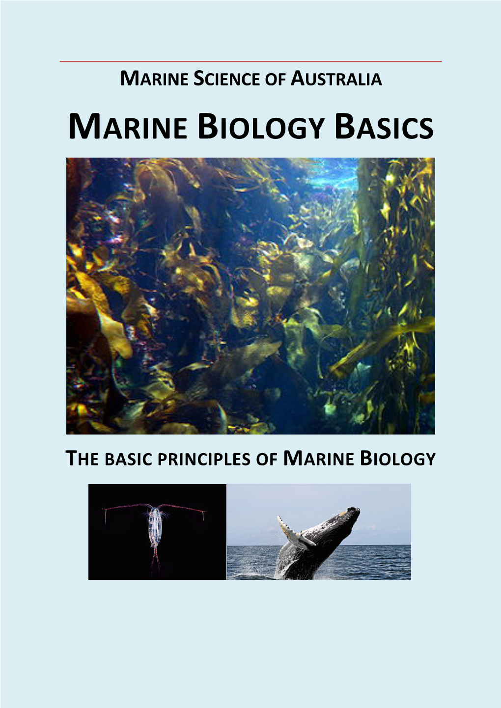 Marine Biology Basics