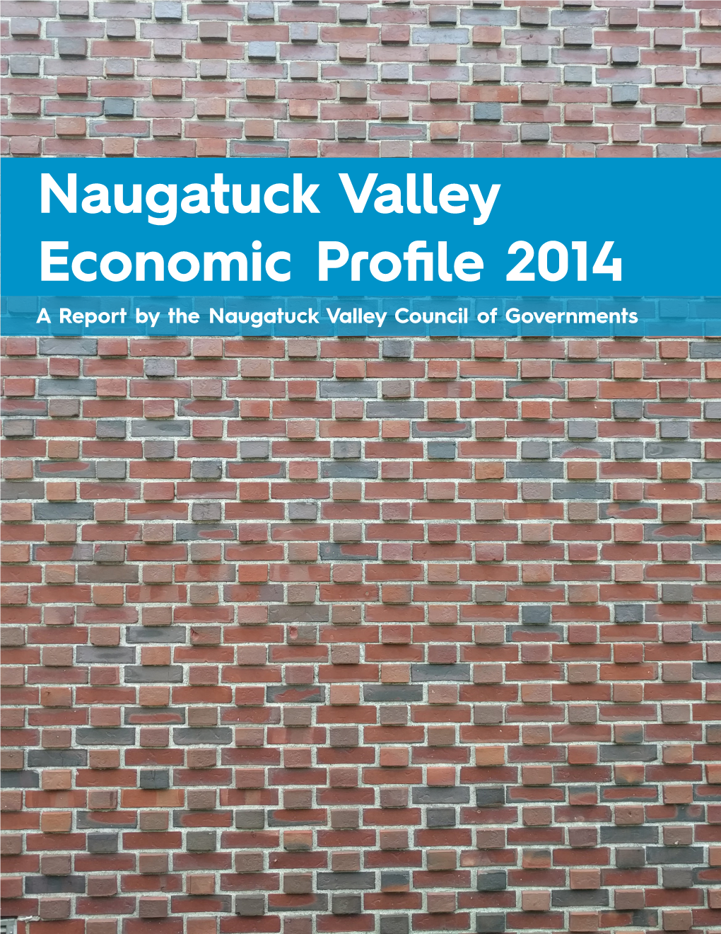 Naugatuck Valley Economic Profile 2014 a Report by the Naugatuck Valley Council of Governments NVCOG • Regional Economic Profile