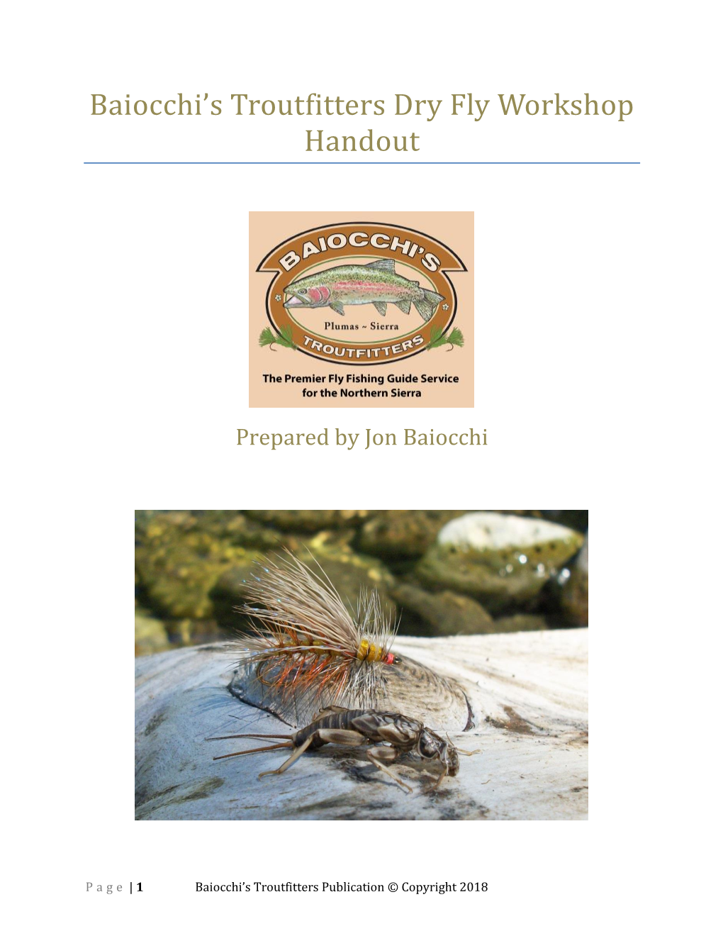 Baiocchi's Troutfitters Dry Fly Workshop Handout
