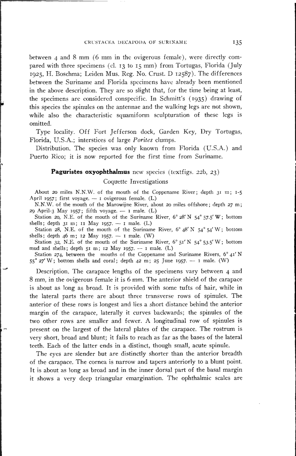 Were Directly Com- Pared with Three Specimens (Cl. 13 to 15 Mm) from Tortugas, Florida (July 1925, H