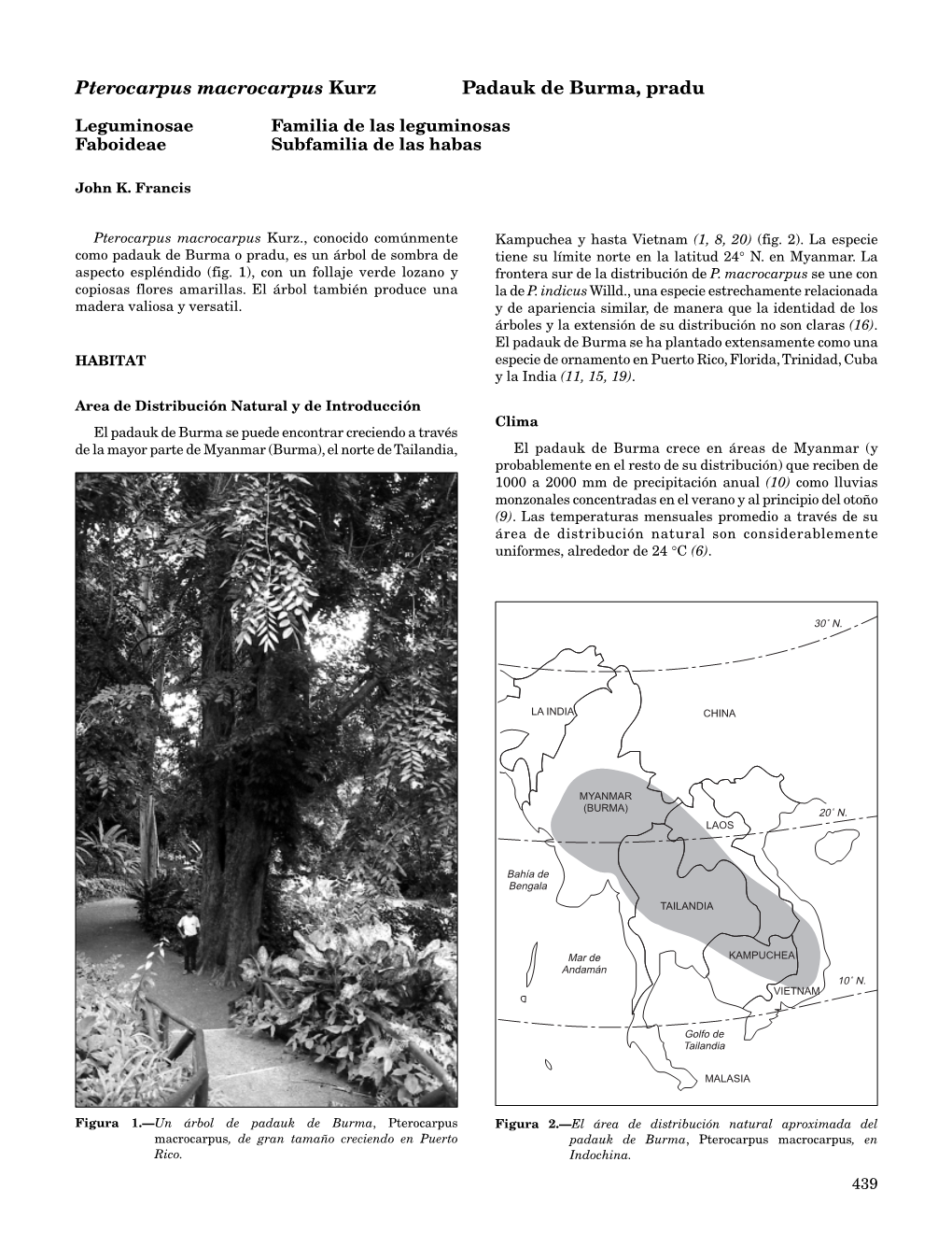 Pterocarpus Macrocarpus Kurz Padauk De Burma, Pradu