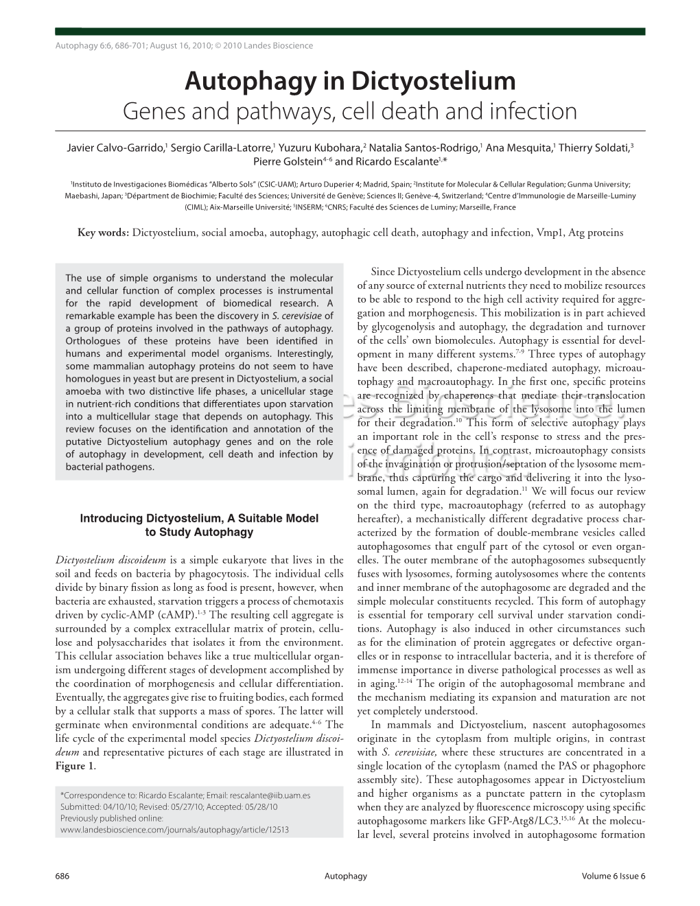 Autophagy in Dictyostelium Genes and Pathways, Cell Death and Infection