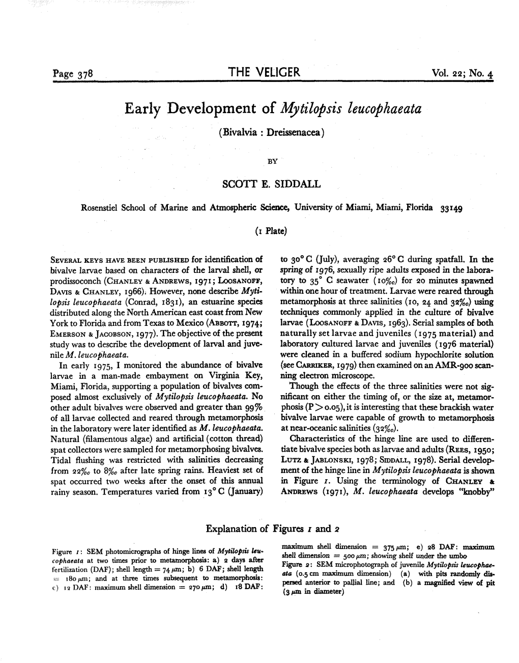 Early Development of Mytilopsis Leucophaeata