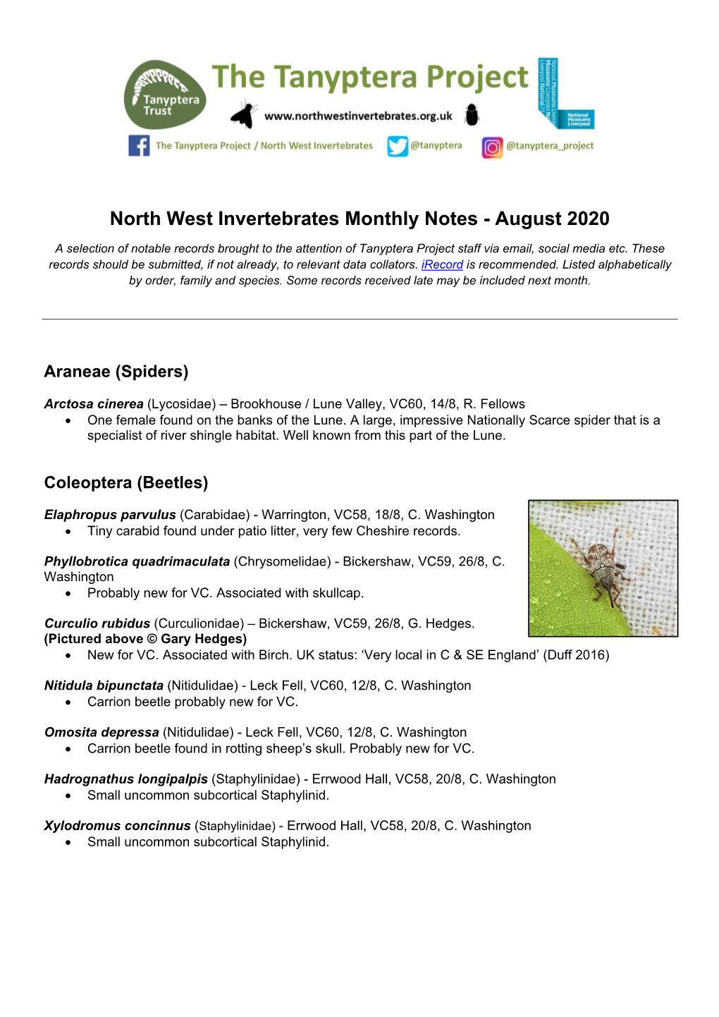 North West Invertebrates Monthly Notes - August 2020 a Selection of Notable Records Brought to the Attention of Tanyptera Project Staff Via Email, Social Media Etc