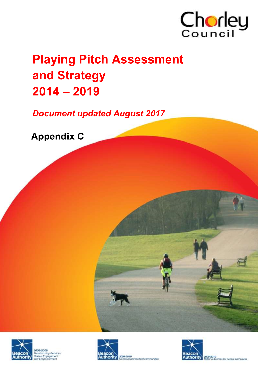 Playing Pitch Assessment and Strategy 2014 – 2019