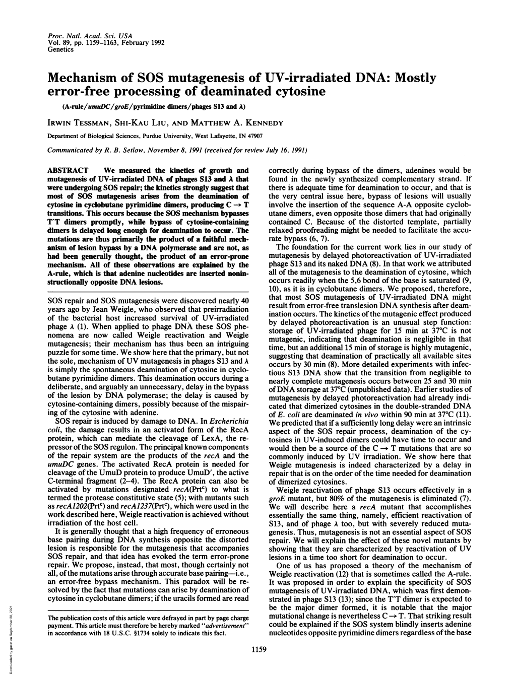 Mechanism of SOS Mutagenesis of UV-Irradiated