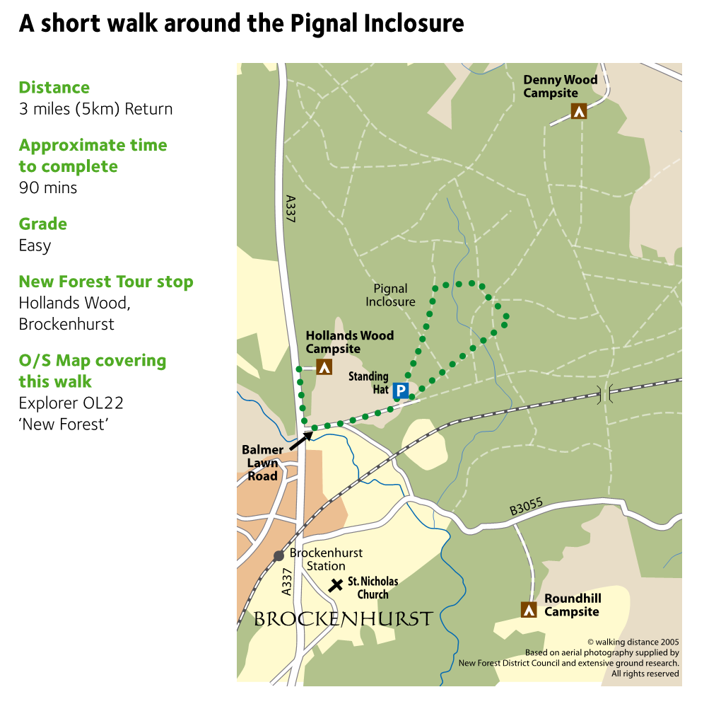 The New Forest Standing Hat Pignal Inclosure Walking Route