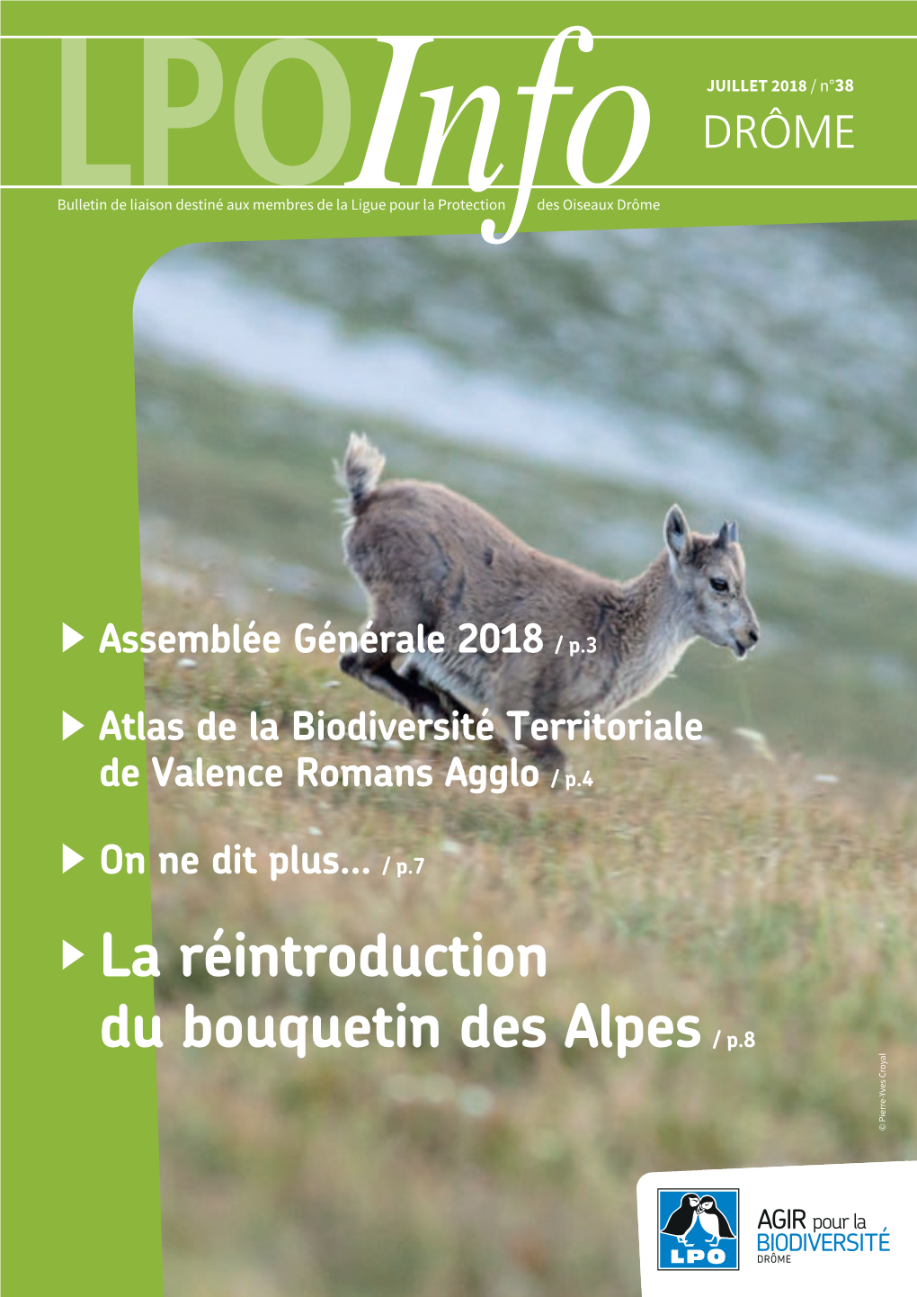 La Réintroduction Du Bouquetin Des Alpes