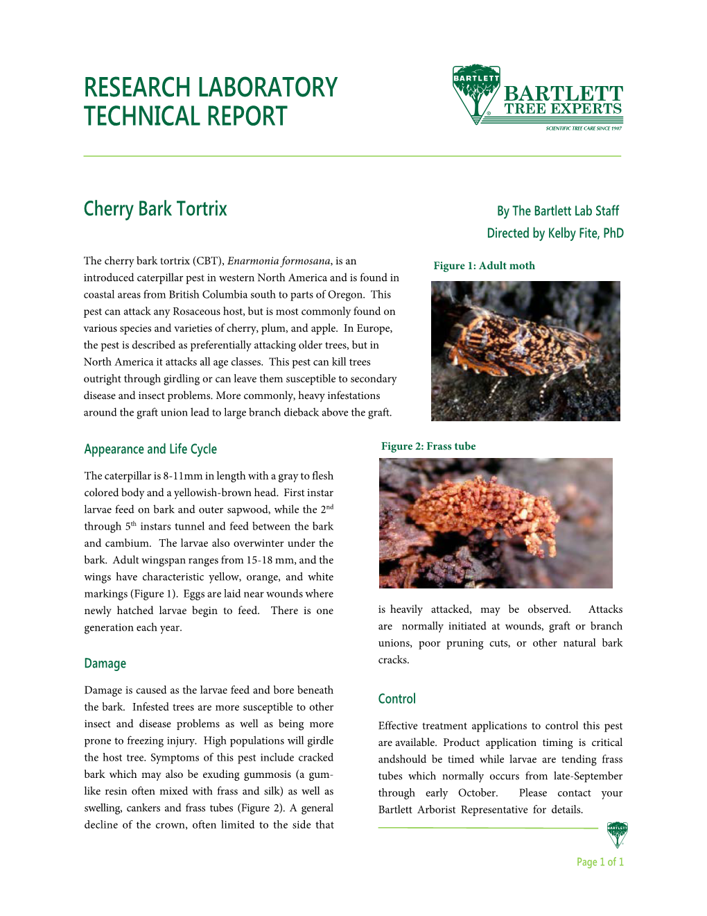 Cherry Bark Tortrix by the Bartlett Lab Staff Directed by Kelby Fite, Phd