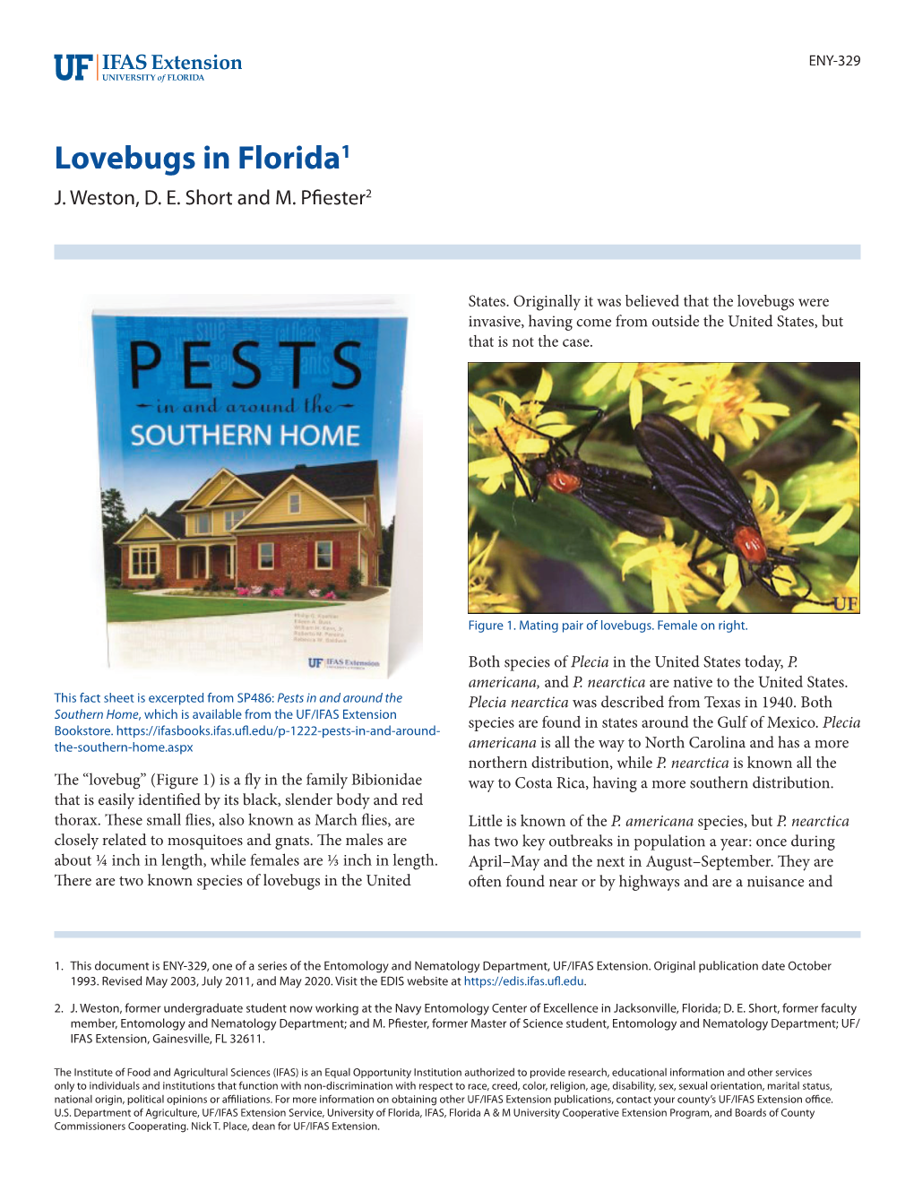 Lovebugs in Florida1 J