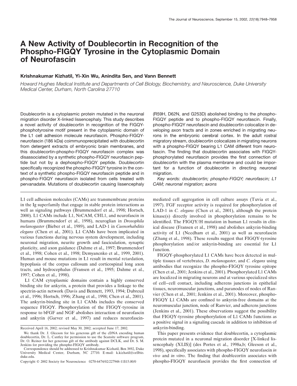 A New Activity of Doublecortin in Recognition of the Phospho-FIGQY Tyrosine in the Cytoplasmic Domain of Neurofascin