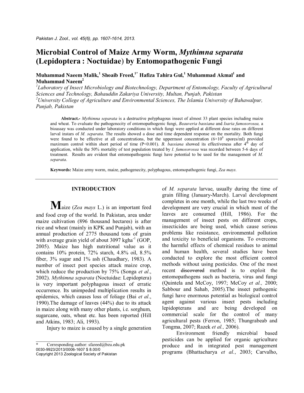 Microbial Control of Maize Army Worm, Mythimna Separata (Lepidoptera : Noctuidae) by Entomopathogenic Fungi