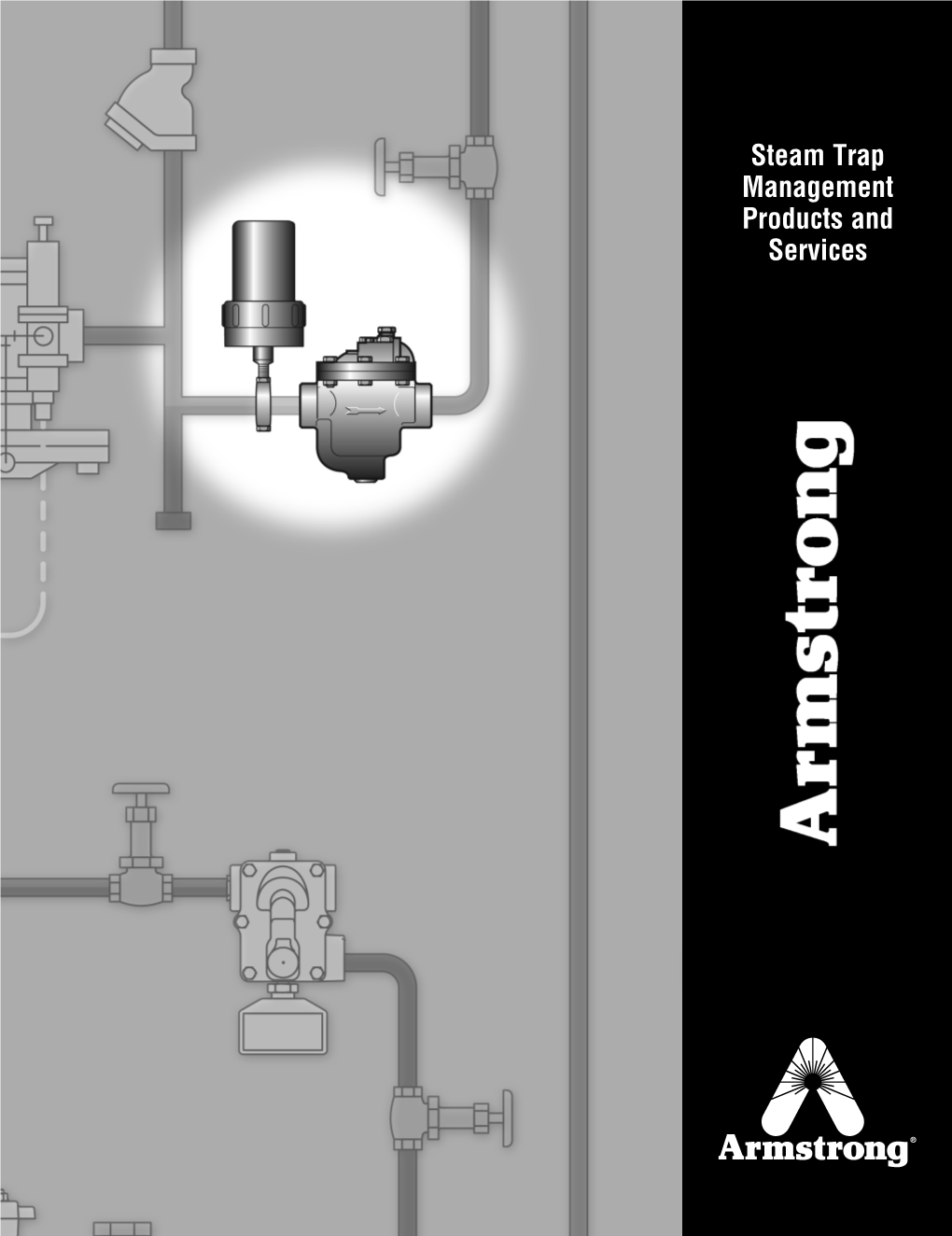 Steam Trap Management Products and Services 188 Steam Trap Management Products and Services Saving Processes