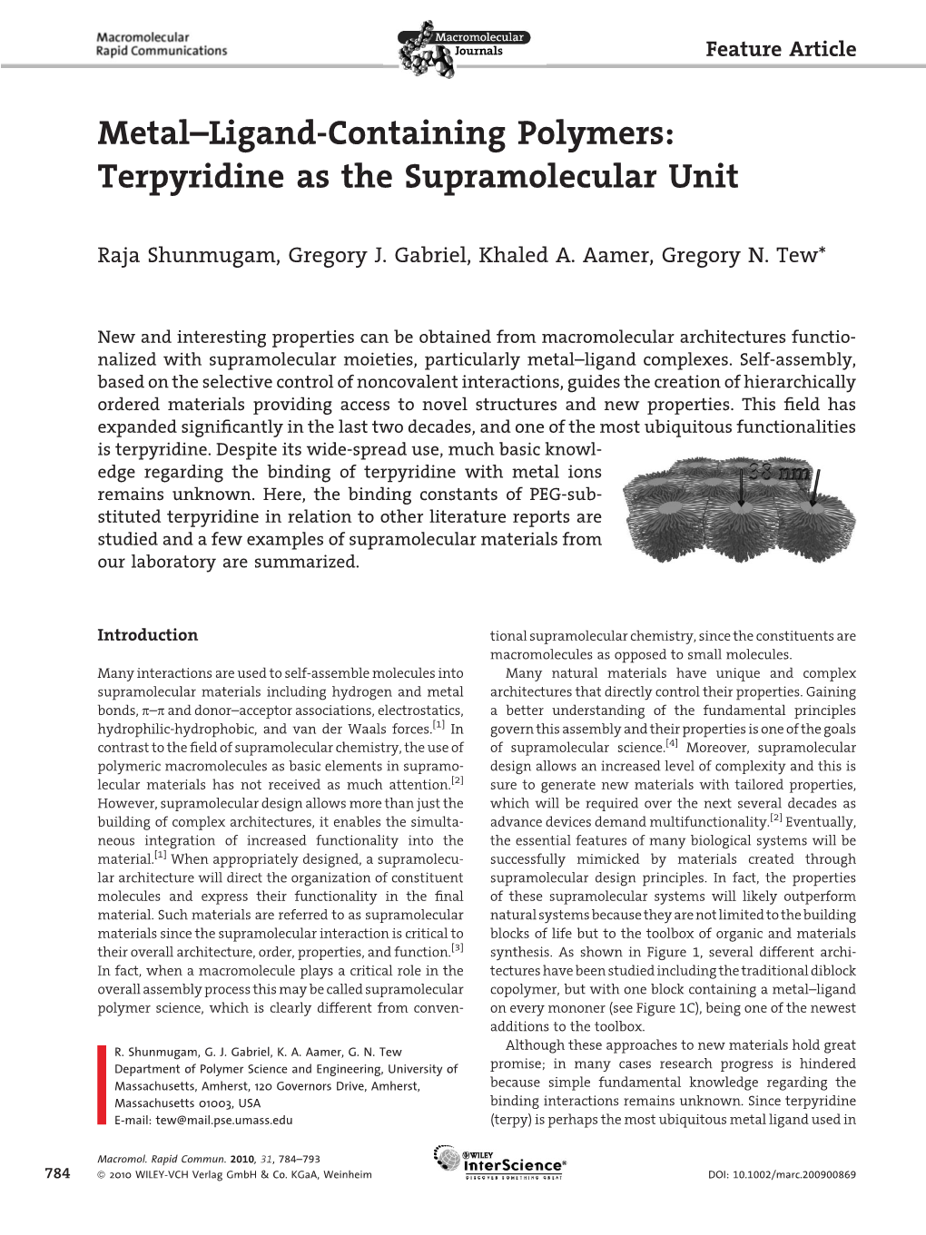 Terpyridine As the Supramolecular Unit