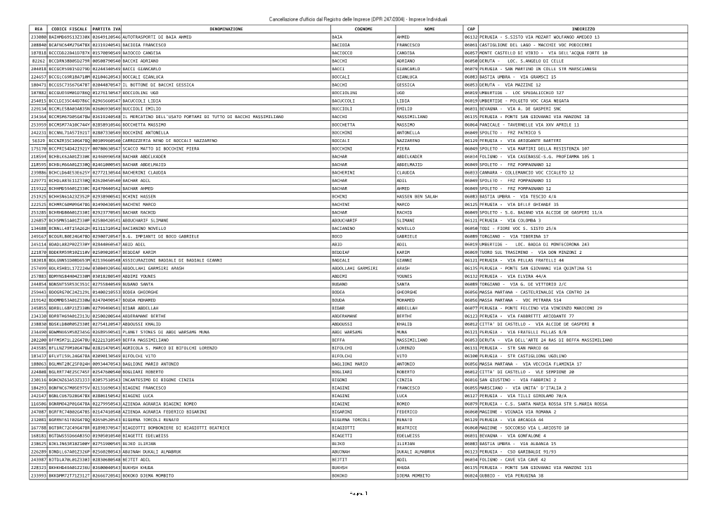 Rea Codice Fiscale Partita Iva Denominazione Cognome
