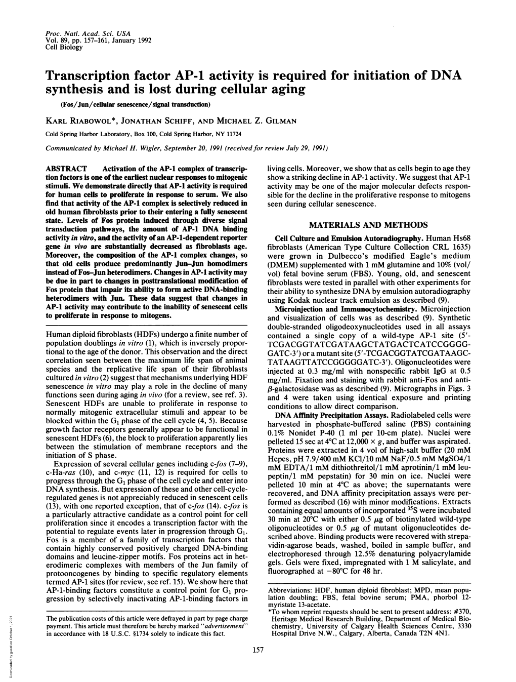 Transcription Factor AP-1 Activity Is Required for Initiation of DNA