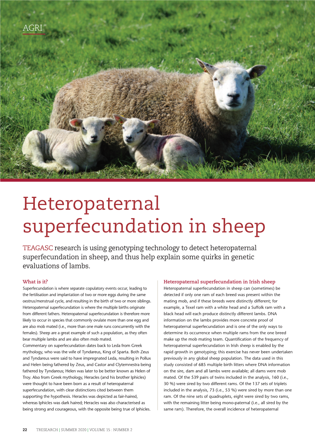 Heteropaternal Superfecundation in Sheep