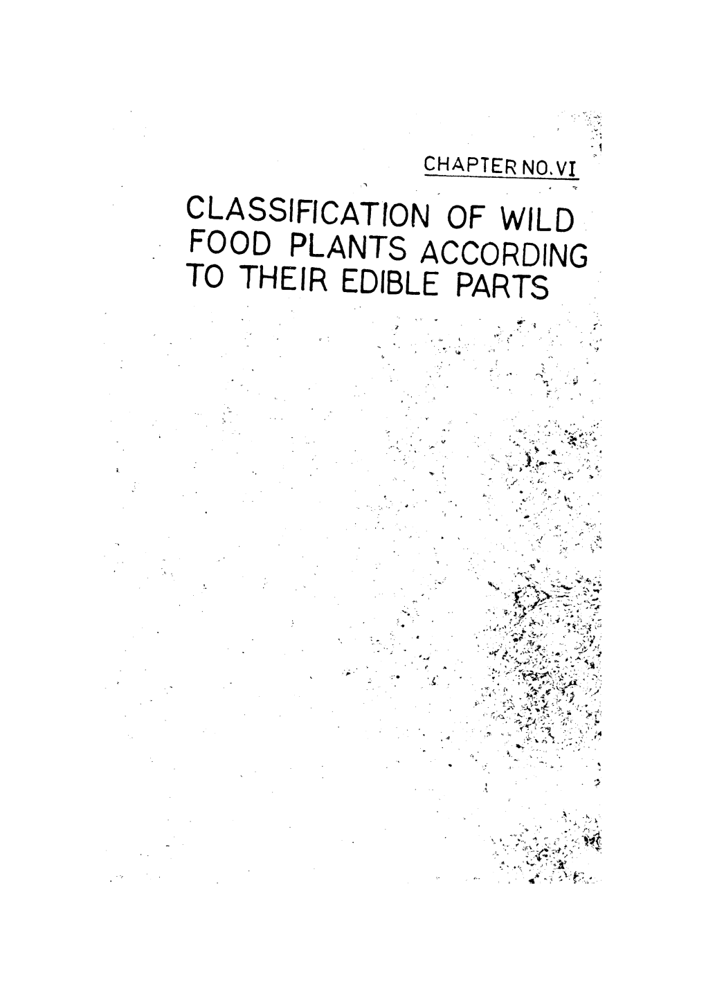 Classification of Wild Food Plants According to Their Edible Parts