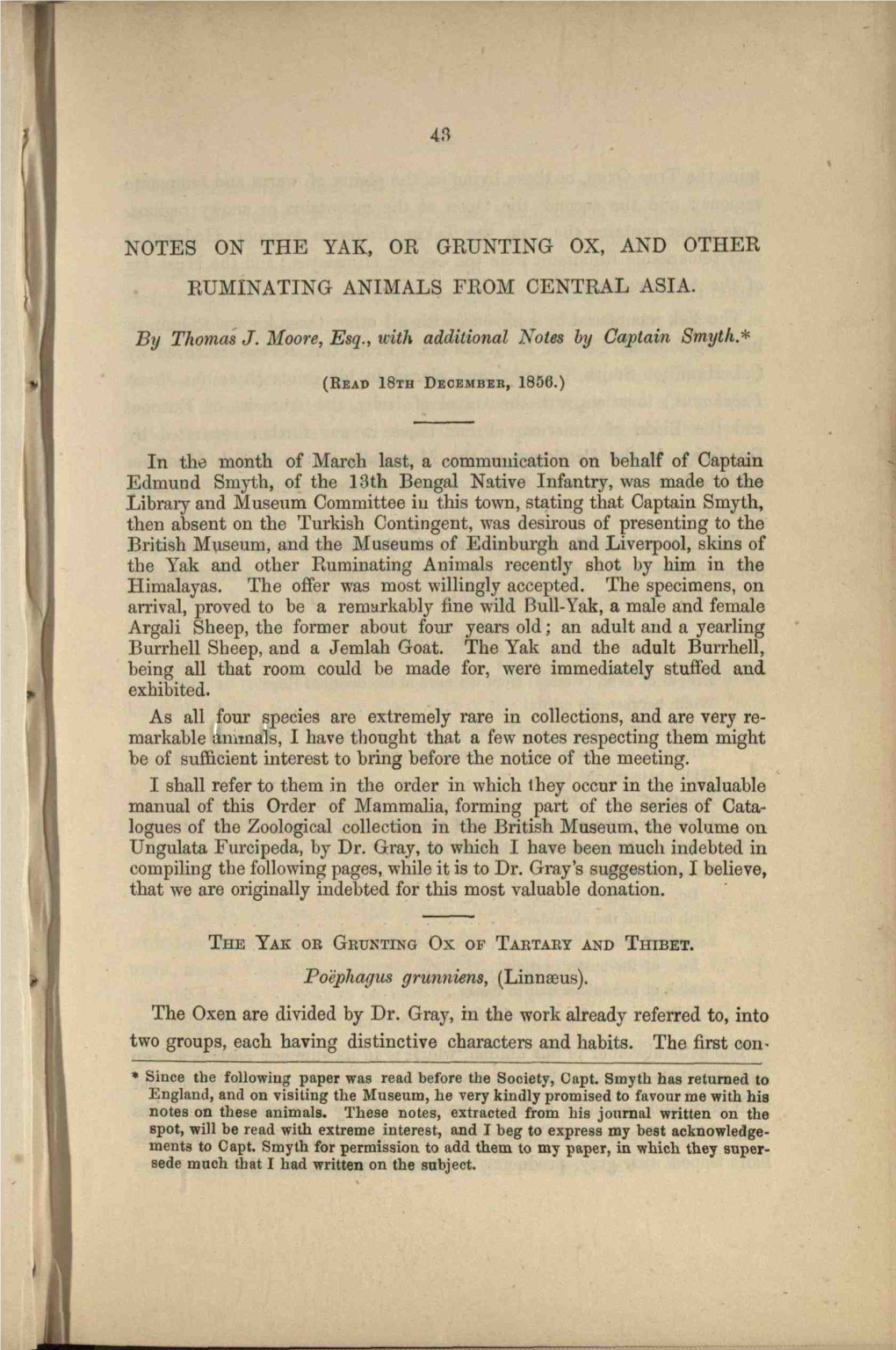 Notes on the Yak, Or Grunting Ox, and Other Ruminating Animals from Central Asia